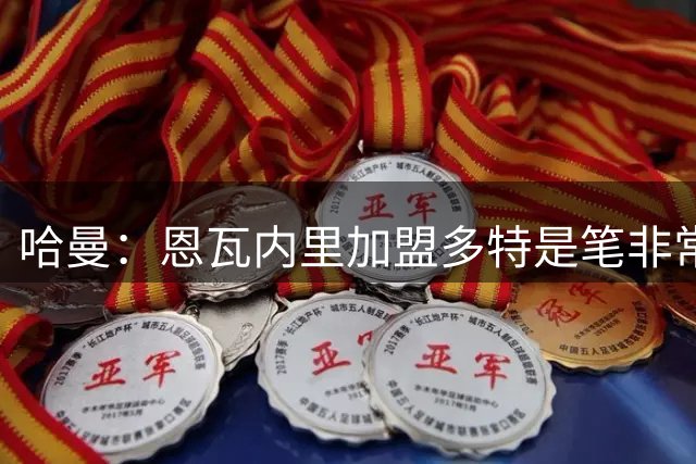 哈曼：恩瓦内里加盟多特是笔非常棒的交易，我很期待他的表现