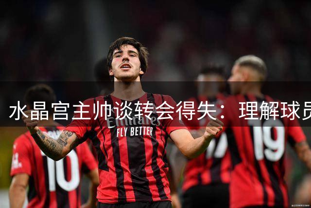 水晶宫主帅谈转会得失：理解球员选择 期待伤员归队